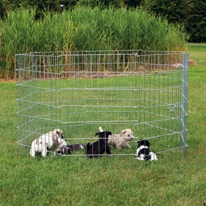 Trixie Natura Puppyren Gegalvaniseerd Metaal 8 Panelen draadkooien Dia 154 cm 61x91 cm