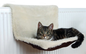 Trixie Radiatorhangmat Pluche / Velours Creme / Bruin kattenmand 45x26x31 cm