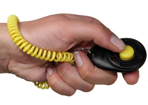 Starmark Clicker de Luxe Voor Training outdoor 6x4 cm