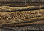 Petsnack Pensstaafjes hondensnacks gedroogd 15 cm 100 gr