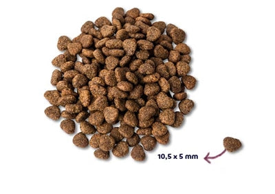 Renske Super Premium Adult Kip Graanvrij Hypoallergeen hondenvoer droogvoer