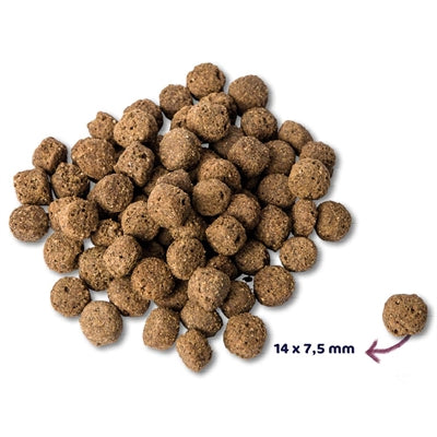 Renske Super Premium Adult Oceaanvis Hypoallergeen hondenvoer droogvoer 12 kg