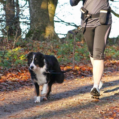 Trixie Heupriem Met Jogginglijn Zwart outdoor Riem 60-120 cm Lijn 100-135 cm