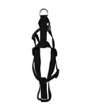 MARTIN HONDENTUIG BASIC NYLON ZWART 25-35X1 CM