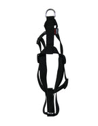 Martin Hondentuig Basic Nylon Zwart hondenhalsband hondenriem