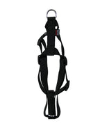 Martin Hondentuig Basic Nylon Zwart hondenhalsband hondenriem
