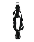 MARTIN HONDENTUIG BASIC NYLON ZWART 70-90X2,5 CM