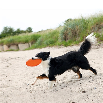 Trixie Rubber Frisbee Dog 0 Soar Groen hondenspeelgoed 18 cm
