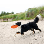 Trixie Rubber Frisbee Dog 0 Soar Groen hondenspeelgoed 18 cm