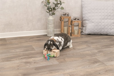 Trixie Snack Kubus Hout knaagdierspeelgoed 16x6X7 cm