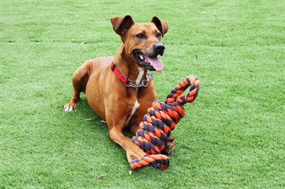 HAPPY PET NUTS FOR KNOTS EXTREME SPOEL 8 VORM TUGGER GRIJS / ORANJE 55X11X11 CM