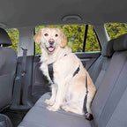 Trixie Hondentuig Auto Inclusief Gordel Zwart hondenhalsband hondenriem nylon
