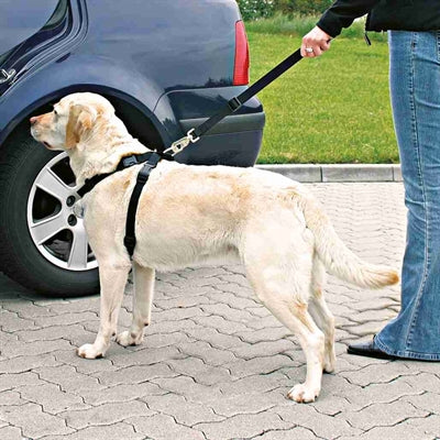 Trixie Hondentuig Auto Inclusief Gordel Zwart hondenhalsband hondenriem nylon