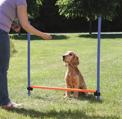 Trixie Dog Activity Agility Horde Blauw / Oranje outdoor 123x115x3 cm