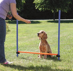 Trixie Dog Activity Agility Horde Blauw / Oranje outdoor 123x115x3 cm