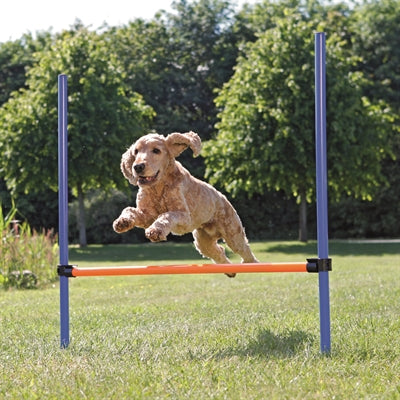 Trixie Dog Activity Agility Horde Blauw / Oranje outdoor 123x115x3 cm