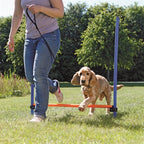 Trixie Dog Activity Agility Horde Blauw / Oranje outdoor 123x115x3 cm