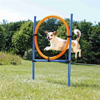 Trixie Dog Activity Agility Ring Blauw / Oranje outdoor 65x3X115 cm