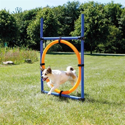 Trixie Dog Activity Agility Ring Blauw / Oranje outdoor 65x3X115 cm