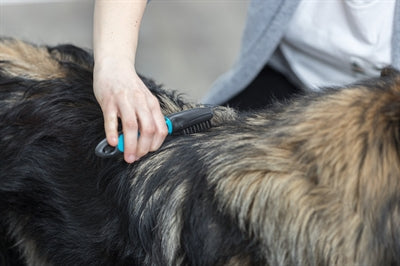 Trixie Vacht Ontvilter Gebogen Tanden hondenborstel