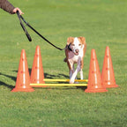 Trixie Dog Activity Hordenset outdoor