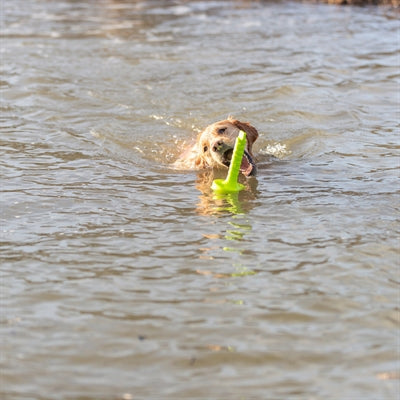 Trixie Dog Activity Mot-aqua Apporteer Dobber Limegroen hondenspeelgoed 29 cm