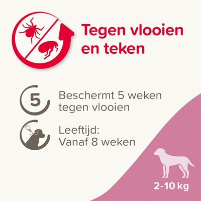 BEAPHAR FIPROTEC HOND TEGEN TEKEN EN VLOOIEN 2-10 KG 3+1 PIP