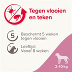 BEAPHAR FIPROTEC HOND TEGEN TEKEN EN VLOOIEN 2-10 KG 3+1 PIP