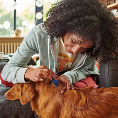 BEAPHAR FIPROTEC HOND TEGEN TEKEN EN VLOOIEN 2-10 KG 3+1 PIP