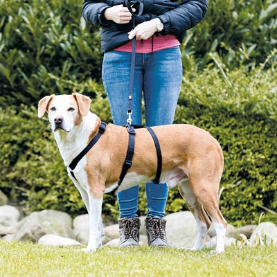 Trixie Hondentuig Stay Zwart hondenhalsband hondenriem nylon