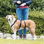Trixie Hondentuig Stay Zwart hondenhalsband hondenriem nylon