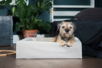 Bia Bed Cotton Hoes Hondenmand Zand