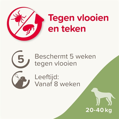 BEAPHAR FIPROTEC HOND TEGEN TEKEN EN VLOOIEN 20-40 KG 3+1 PIP