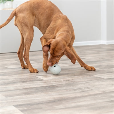 Trixie Snackbal Rubber Grijs hondenspeelgoed 9 cm