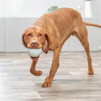 Trixie Snackbal Rubber Grijs hondenspeelgoed 9 cm