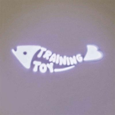 Trixie LED Pointer Laserspeelgoed Catch The Light kattenspeelgoed 8 cm