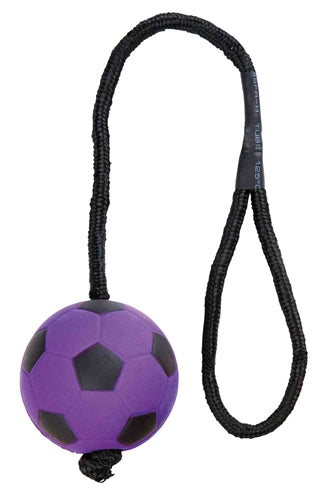 Trixie Sportbal Aan Touw Schuimrubber Drijvend Assorti hondenspeelgoed 6x6X30 cm