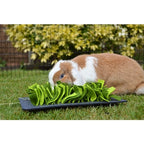 Rosewood Snuffelmat Knaagdier Zwart / Groen knaagdierspeelgoed 29,5x20 cm