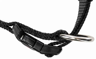 Trixie Halsband Hond Premium Zwart hondenhalsband hondenriem nylon