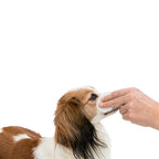 Trixie Eye Care Reinigingspads Voor Ogen vachtverzorging hond 100 st