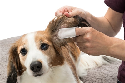 Trixie Ear Care Vingerpads vachtverzorging hond 50 st
