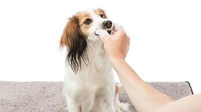 Trixie Dentalcare Vingerpads vachtverzorging hond 50 st