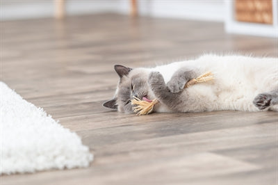 Trixie Matatabi Stokje Met Franjes kattenspeelgoed 24 cm