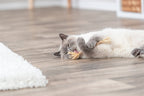 Trixie Matatabi Stokje Met Franjes kattenspeelgoed 24 cm