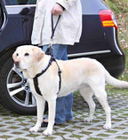 Trixie Autogordel Korthouder Universeel Zwart hondenhalsband hondenriem nylon 27x4,5 cm