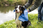 Trixie Handdoek Assorti vachtverzorging hond 66x43 cm