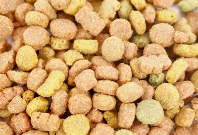 i am Kattensnoep Rund snacks kauw 70 gr