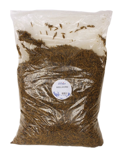DE VRIES MEELWORM BLACK SOLDIER FLY 5 KG