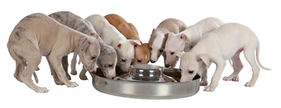 Trixie Junior Puppyvoerbak Rvs hond