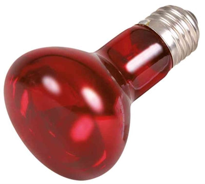 Trixie Reptiland Warmtelamp Infrarood terrarium 75 Watt 6,3x6,3x10 cm